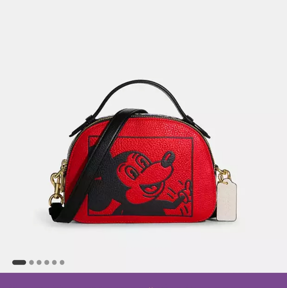 Disney Coach x Keith Haring